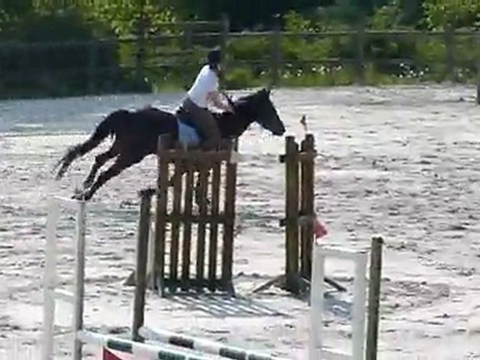 2011 04 24 CSO Entrainement avec Majesty