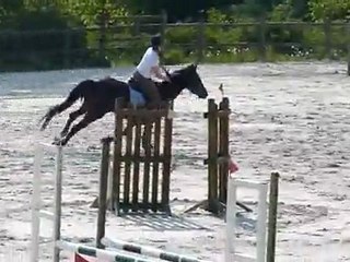 2011 04 24 CSO Entrainement avec Majesty
