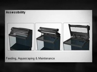 Red Sea MAX 250 Review