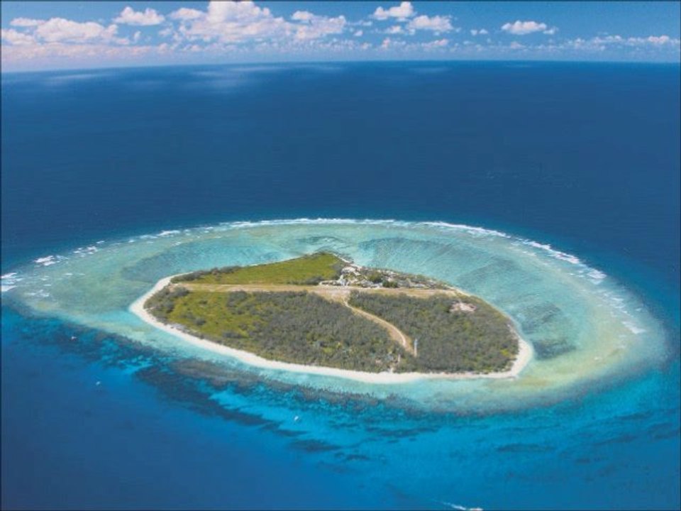 salafiya es de Allah 1