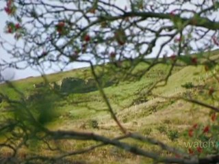 The Mountains of Wales