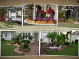 Parkland FL Landscaper/ 954-224-5119/Gardener, Landscaping