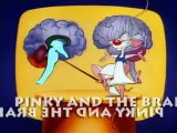 Pinky y Cerebro - Opening