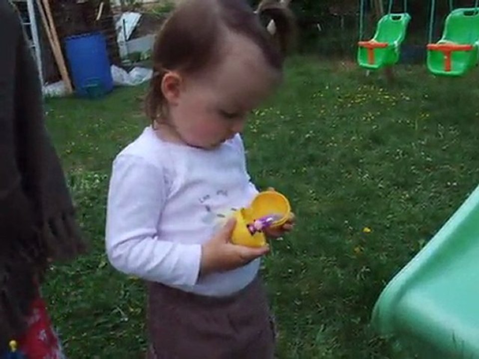chasse aux oeufs