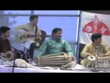 SAPNA Presents Saraswathi at 2011 Veena Festival: RHYTHMS INDIANA