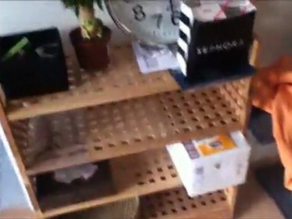 Les minettes sont là [Partie 2]