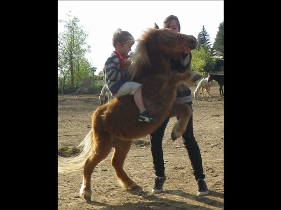 Freedom Flicka ♥