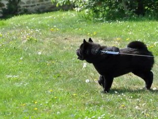 fidji de 1 à 8 mois