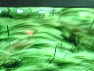 Guideline Tab T23: Android 2.3 Tablet, Flash10.2, Wifi, ...