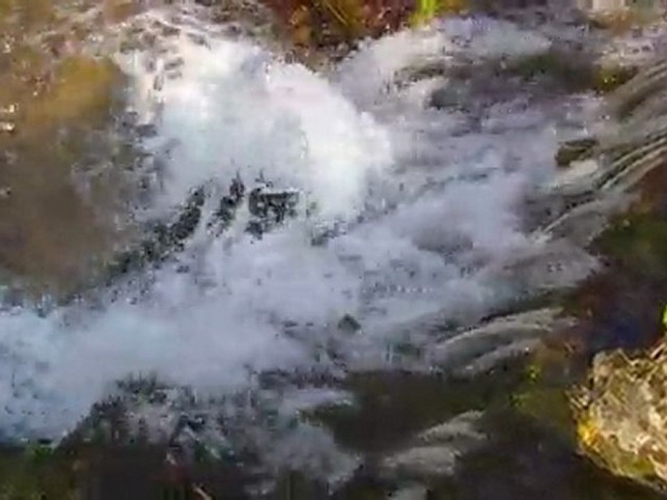 IMAG0072