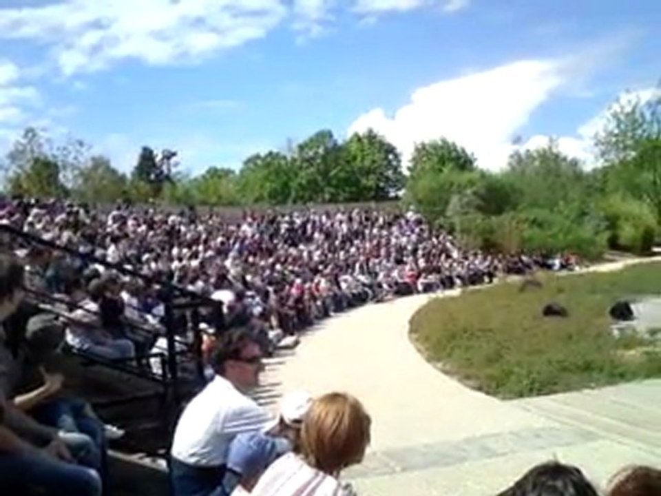 Spectacle - Parc des oiseaux - 1