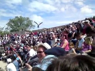 Spectacle - Parc des oiseaux - 6