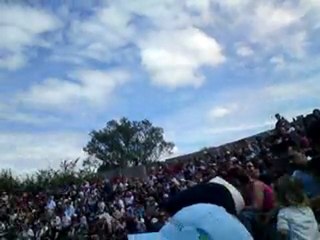 Spectacle - Parc des oiseaux - 9