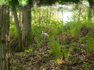 un p'ti coin de paradis .. balade du 24 avril 2011