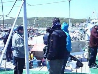 Balık Sevdam Balık avı İçin Gulet