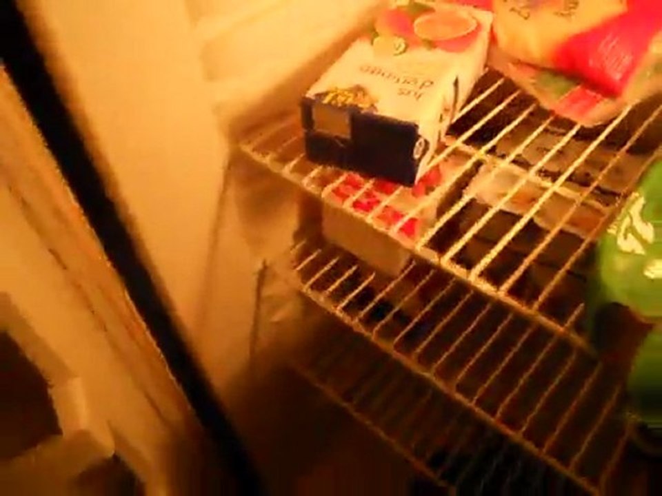 Paranormal activity 3 ( Extrait)
