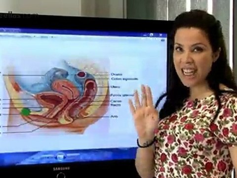 Los órganos sexuales de la mujer