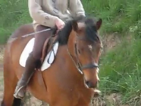 Top Model montée 2011 04 25 - 03