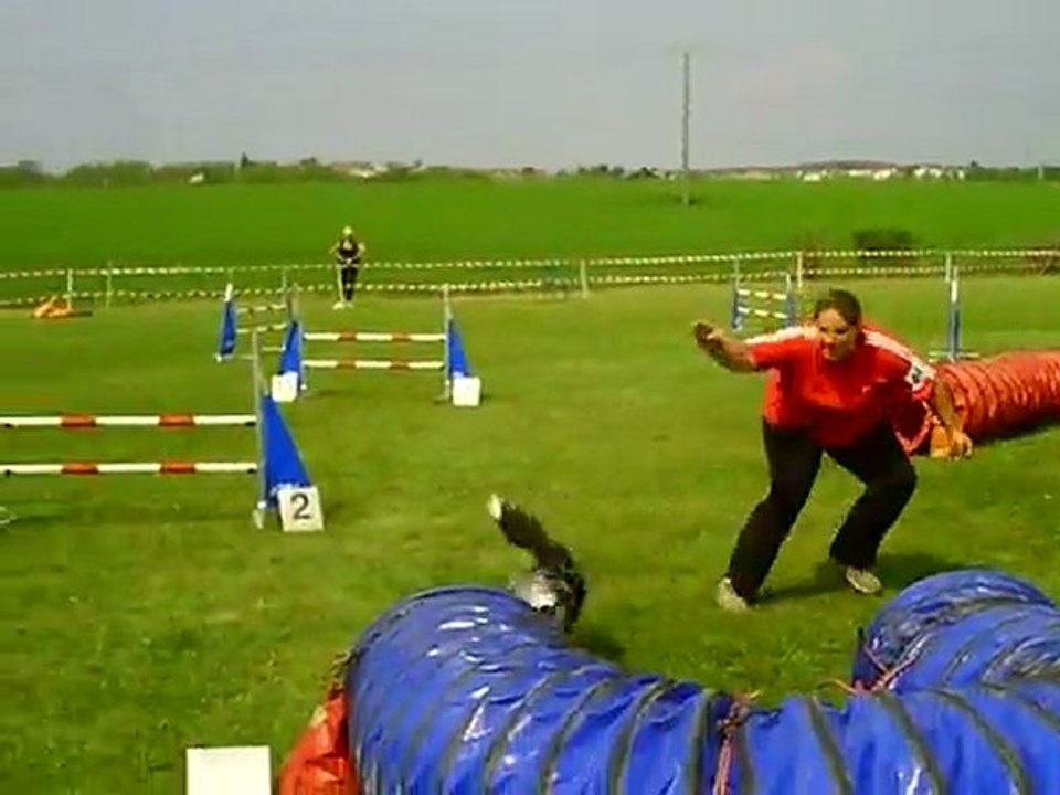 Championnat de Lorraine 2011 DIXIE Jumping