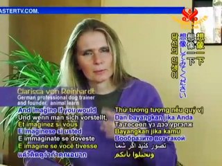 Tips from Elite Dog Trainer Clarissa von Reinhardt - P1/2