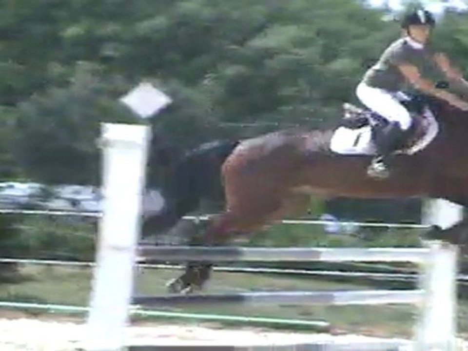 CCE pialoux cso marion et quicky