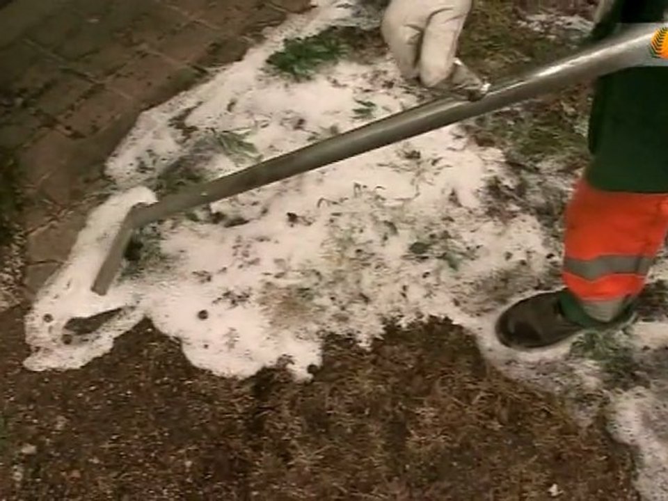 Objectif zéro-pesticide dans l'entretien des voiries et espaces verts : mythe ou réalité ?