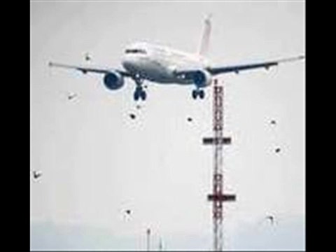 P.1 Ndeko yo moto oza na doc te, keba po ete mopepe ya mabe ya lipapu ezwa yo te, tika loyenge! P.1 Ndeko yo moto oza na doc te, keba po ete mopepe ya mabe ya lipapu ezwa yo te, tika loyenge!