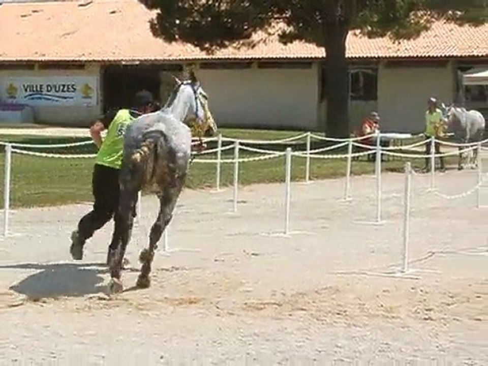 robert pastor uzes 2011