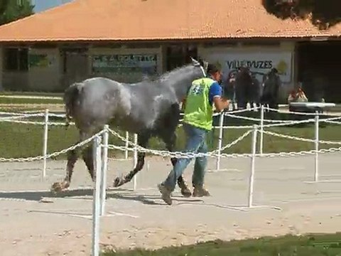 allumez le feu uzes 2011