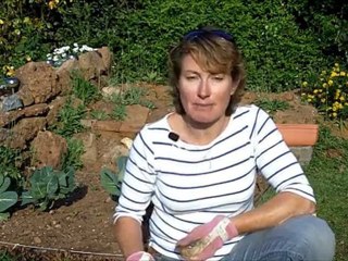 [Basics of Marketing] The Secrets of Successful Advertising