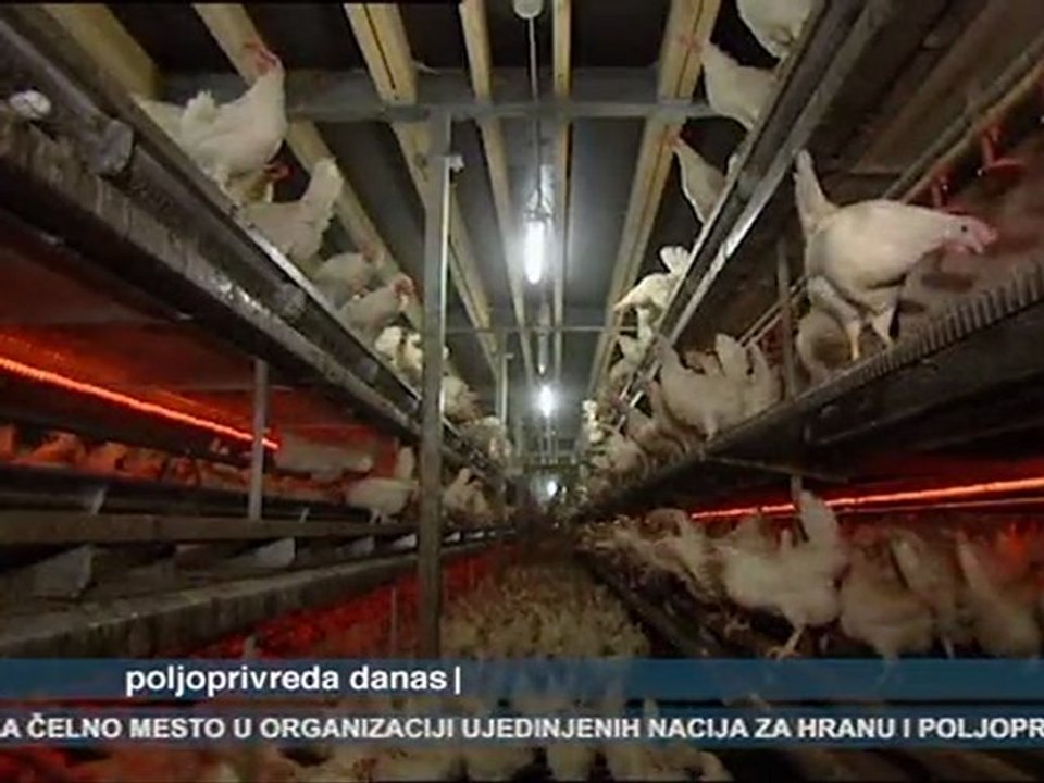 Poljoprivreda danas 05.05.2011.