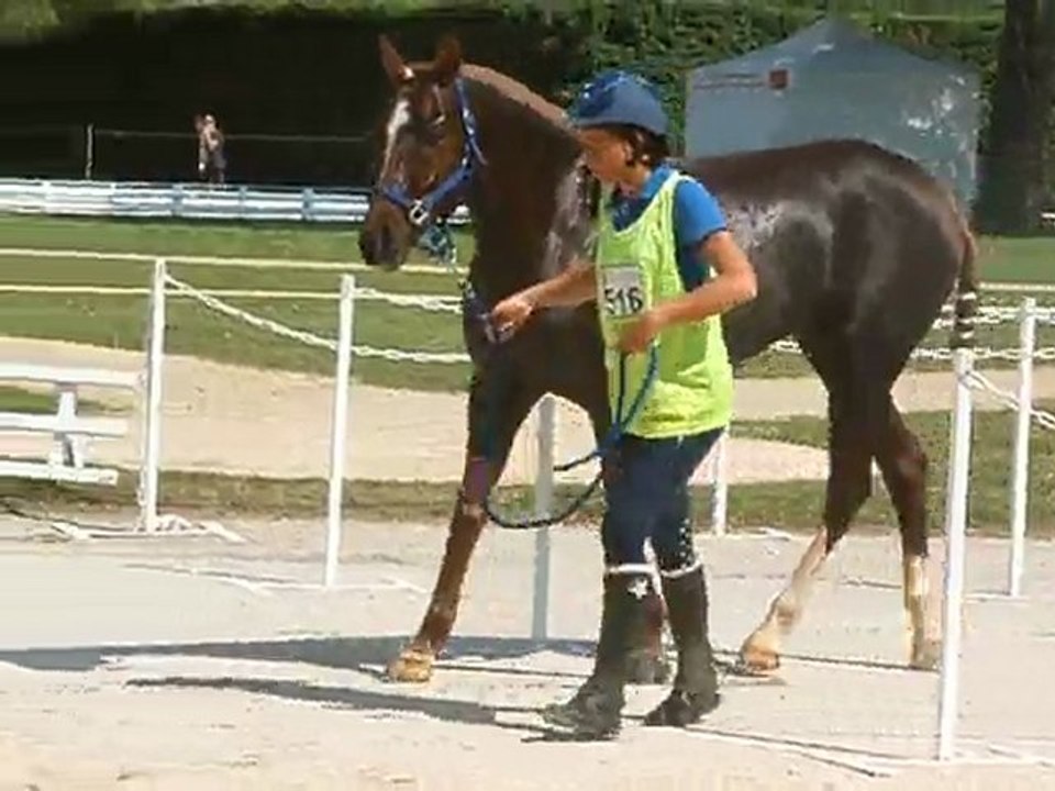 halte à tout uzes mai 2011