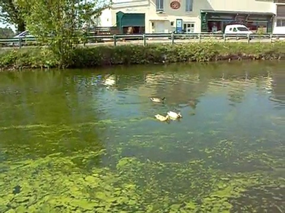 au fil de l'eau