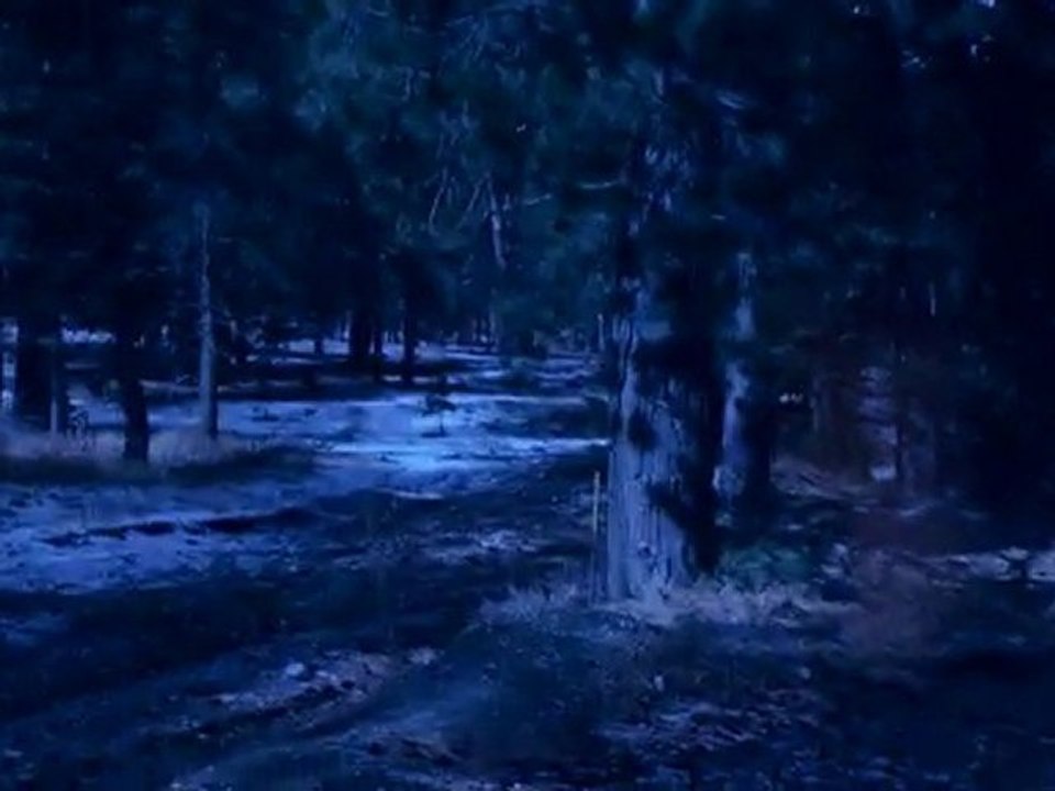 Wicked Lies by Lisa Jackson and Nancy Bush Book Video ...