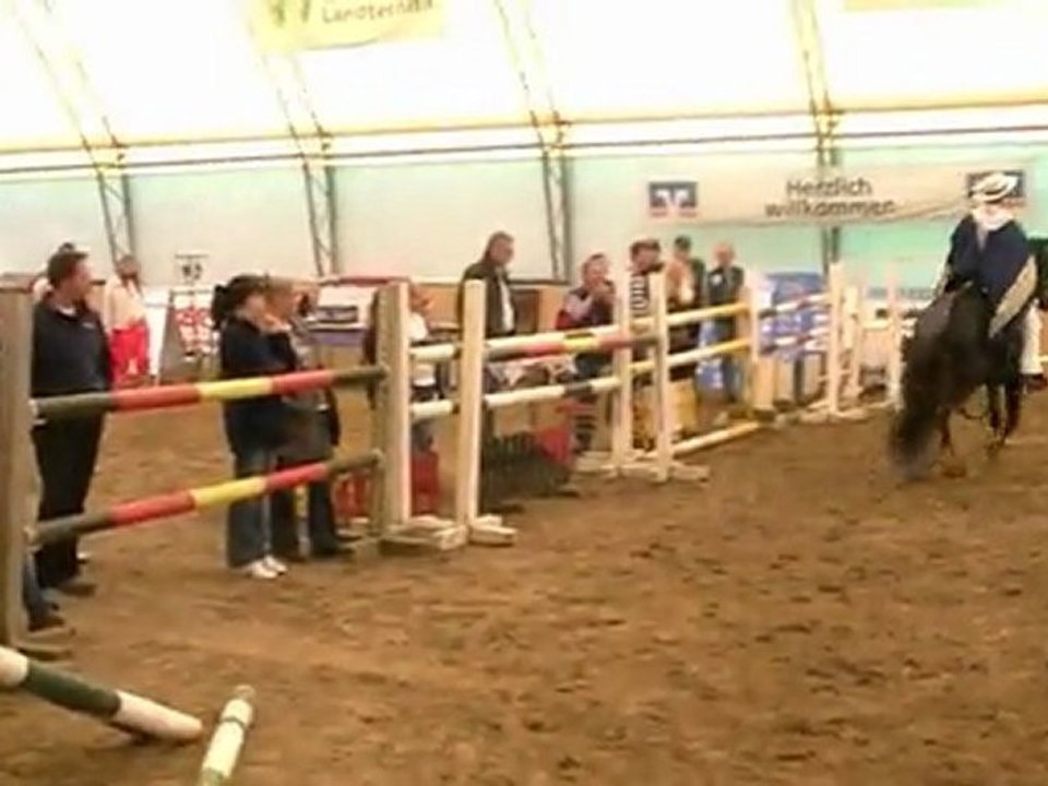 Hengst-show klein bennebek 23.04.2011