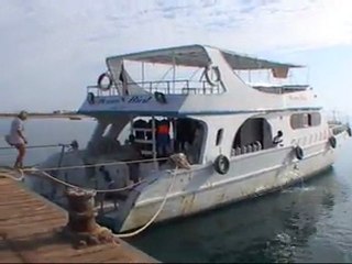 Red Sea diving 2010 Egypt