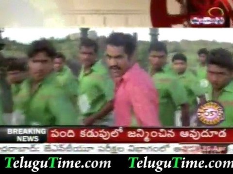 TeluguTime.com - Young tiger pairs with Priyamani again