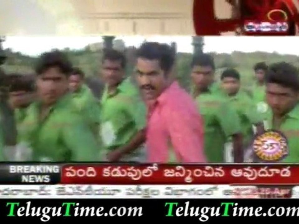 TeluguTime.com - Young tiger pairs with Priyamani again