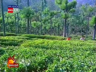 Panner Pushpangal--Poonthalir--RBC@TTT