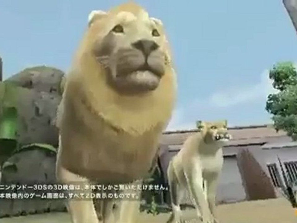 Pub - Animal Resort