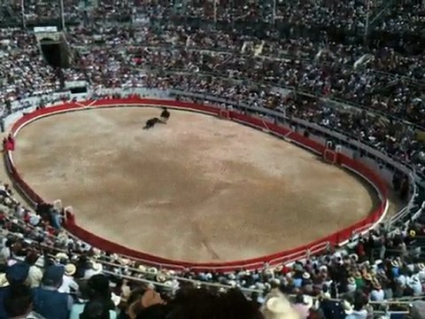 Corrida Rejon Arles 2011 - 3