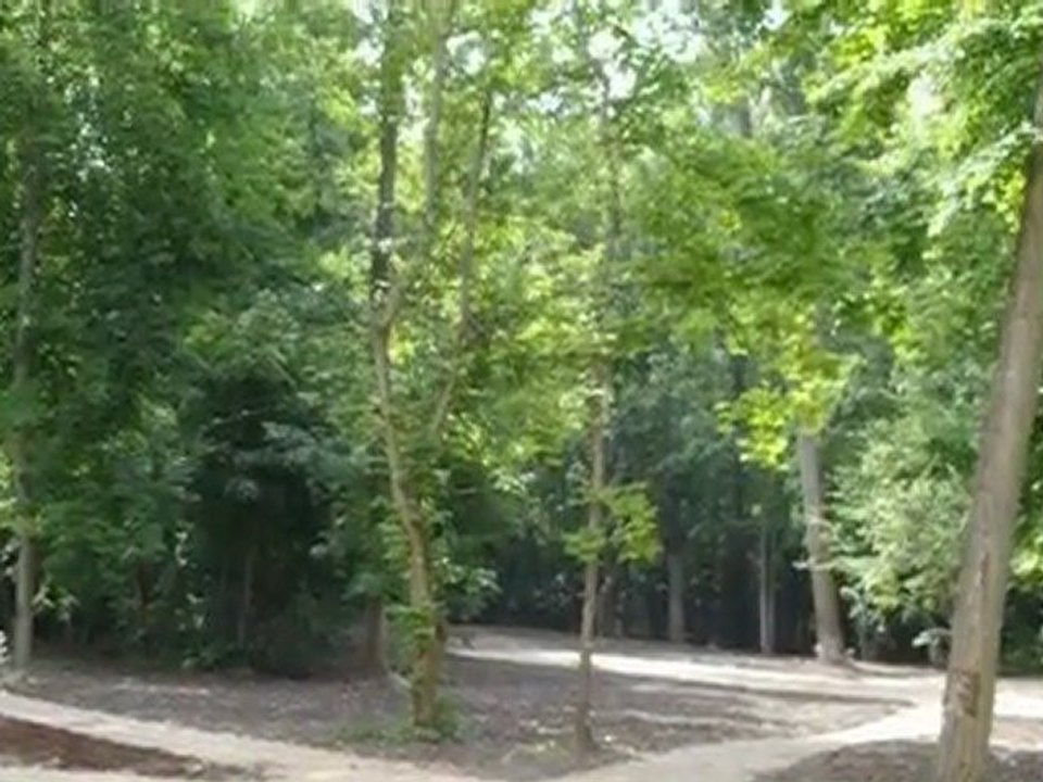 A louer appartement - ST JEAN DE BRAYE (45800) - 64m² - 699