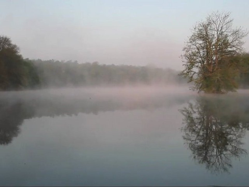 Promenade aux étangs de Commelles