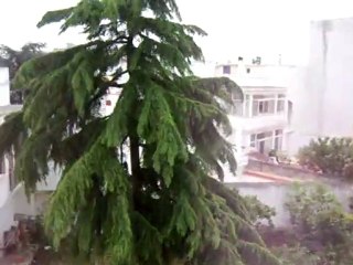 Bufera di vento a Turi_1