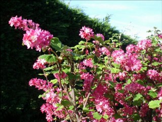 explosion de couleurs