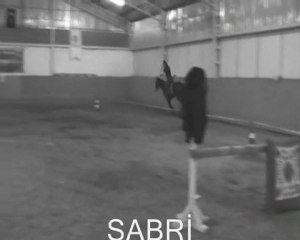 ATLI OKÇULUK 25-04-2011 Yıldız