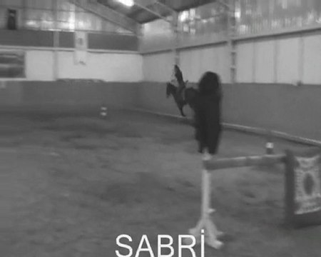 ATLI OKÇULUK 25-04-2011 Yıldız