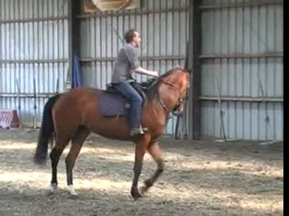 marc et aguila 25.04.2011