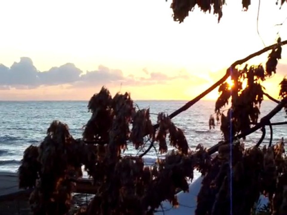 02122009           1630