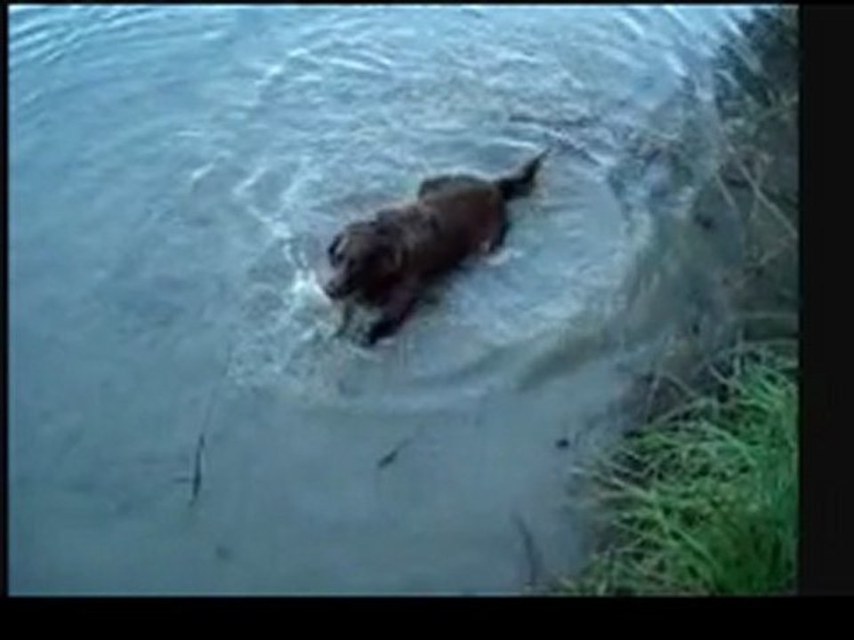 PROMENADE AU BORD DU RHONE LE 25.04.2011